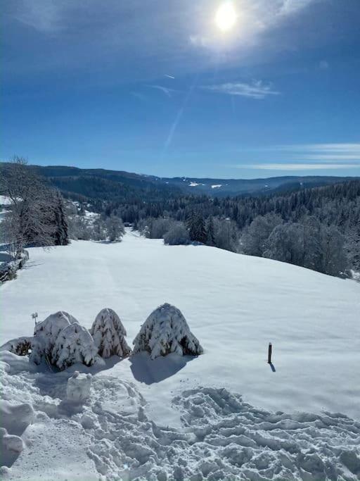 Appartement Lumineux Avec Vue Sur Les Montagnes Морб'є Екстер'єр фото