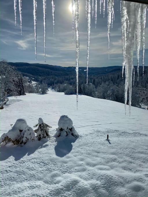 Appartement Lumineux Avec Vue Sur Les Montagnes Морб'є Екстер'єр фото